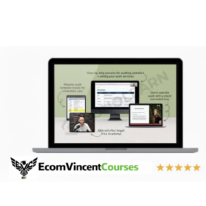 Danbee Shin – Website Audit Masterclass